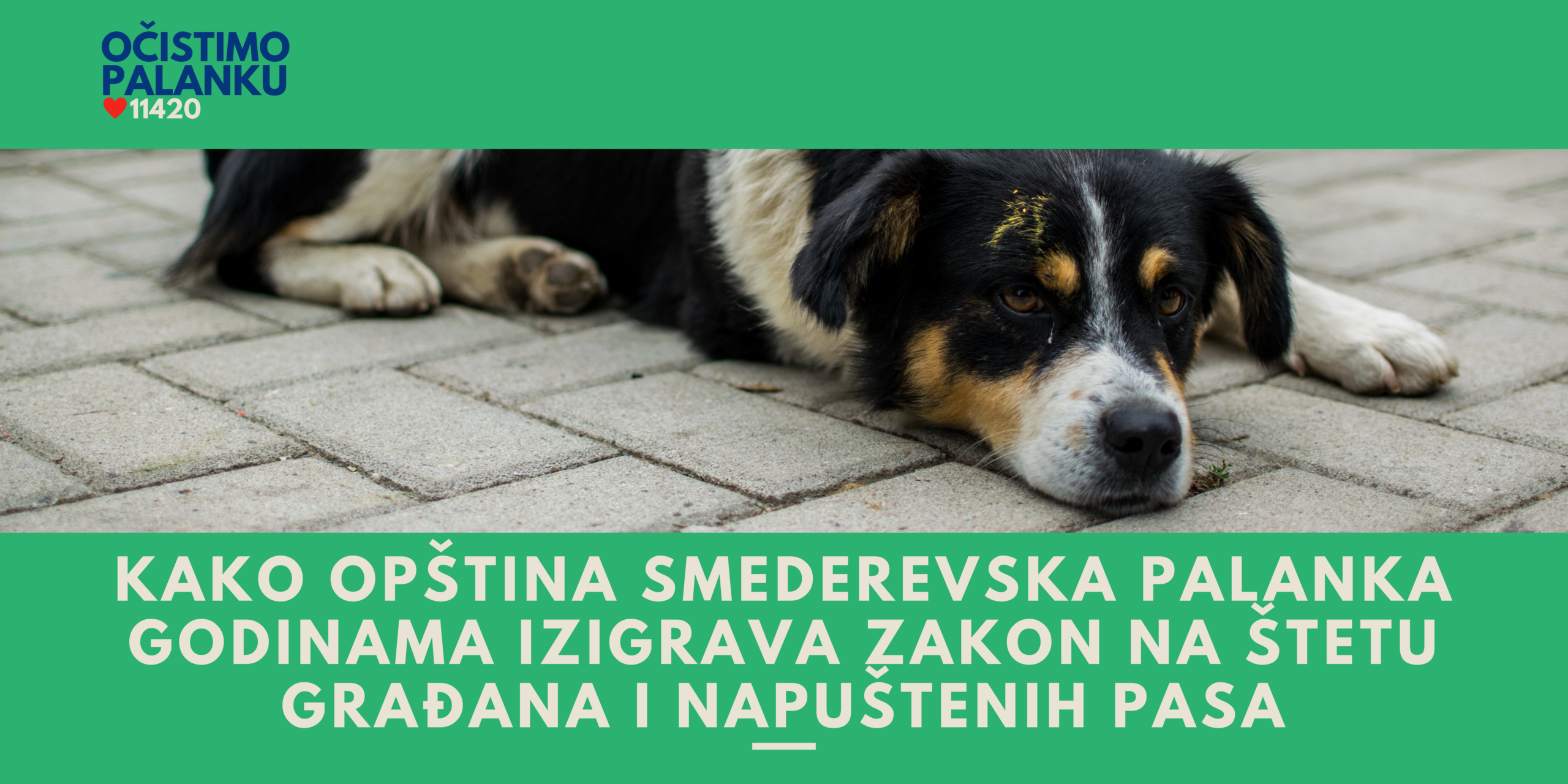 Kako opština Smederevska Palanka godinama izigrava zakon na štetu građana i napuštenih pasa