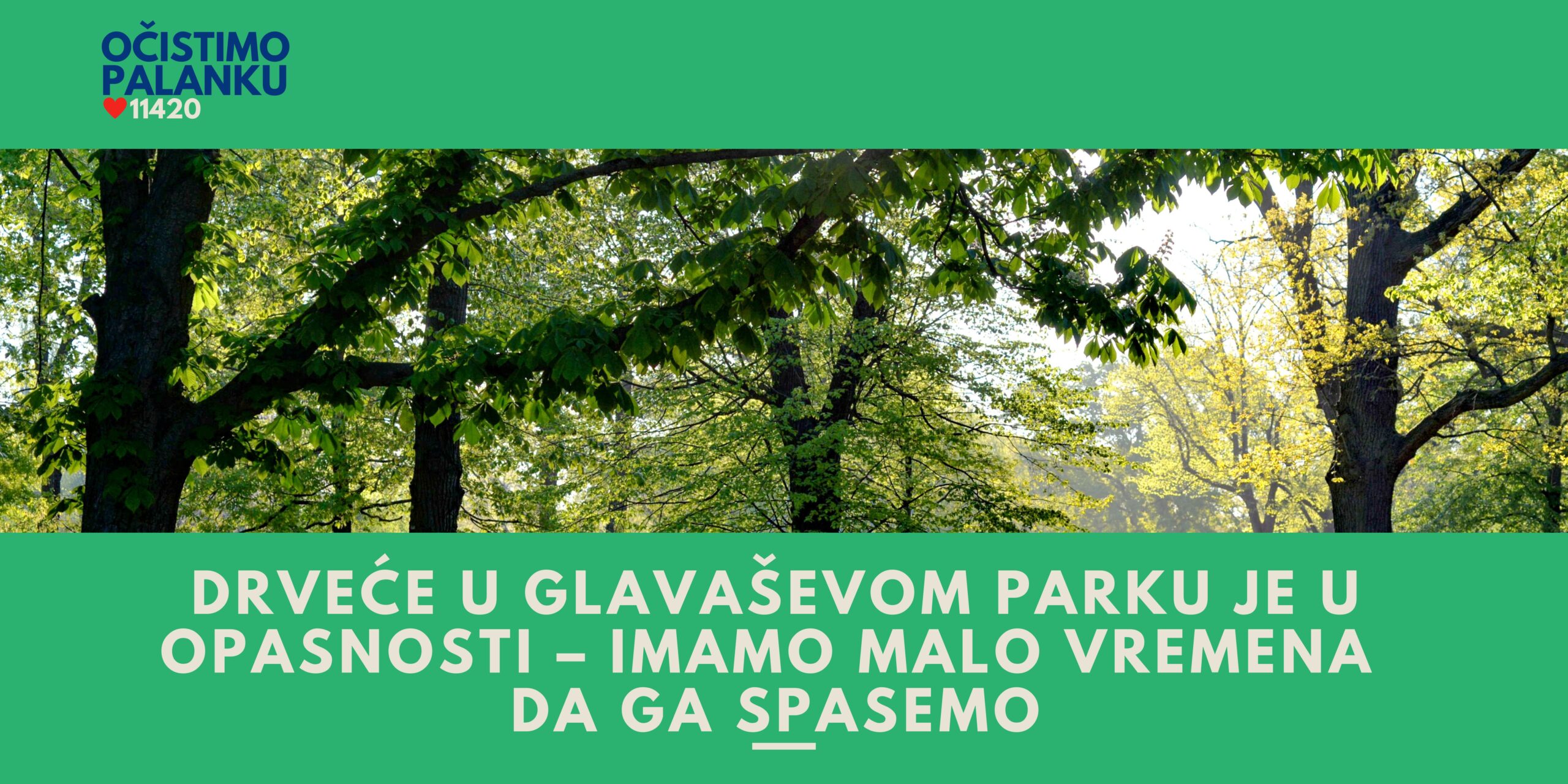 Drveće u Glavaševom Parku je u opasnosti – imamo malo vremena da ga spasemo